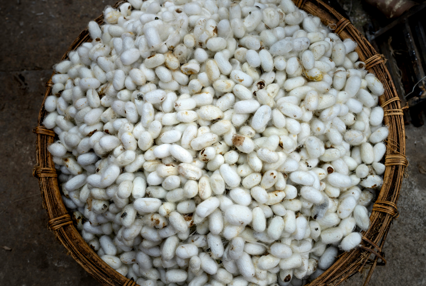 What Makes High-Quality Silk Different