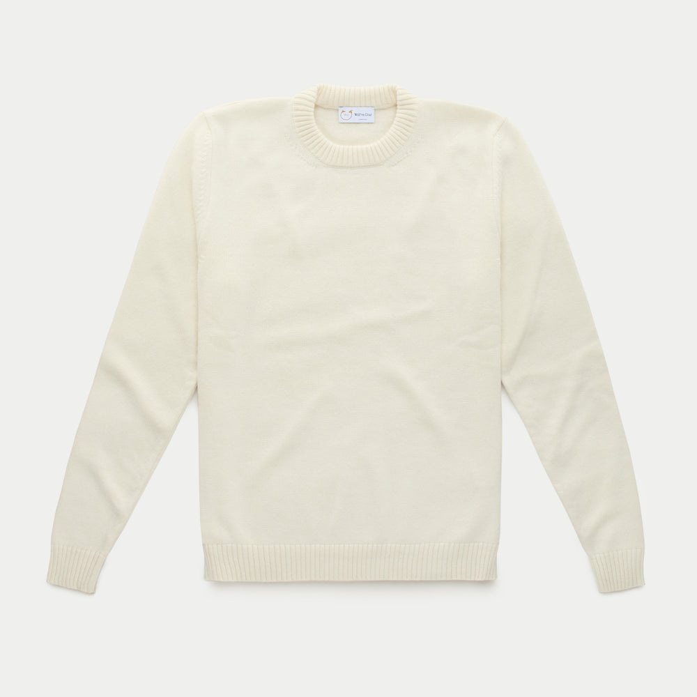 Baby Cashmere Knitted Long Sleeve Crewneck Tenzin