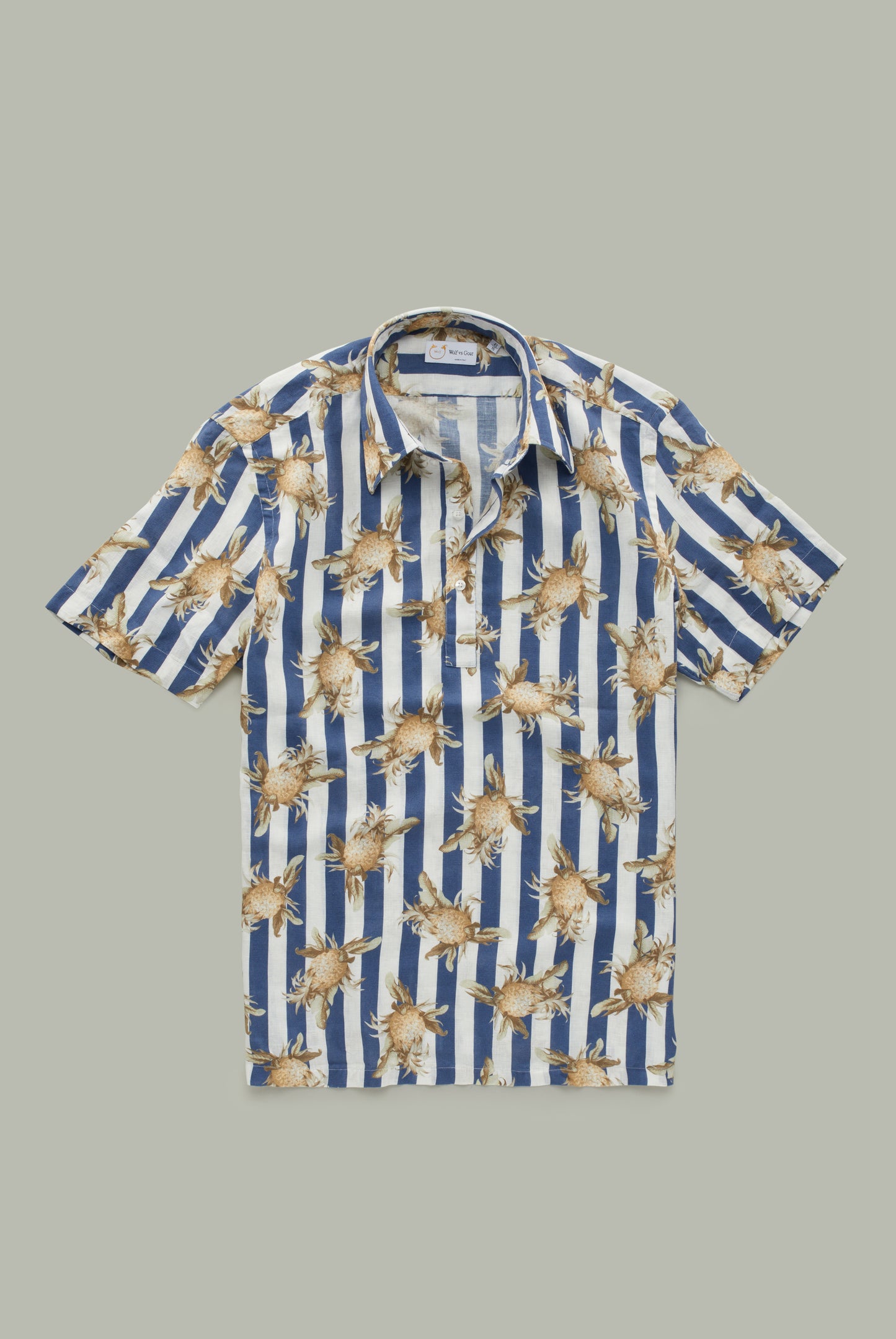 Stripes and Pineapple Pop-Over