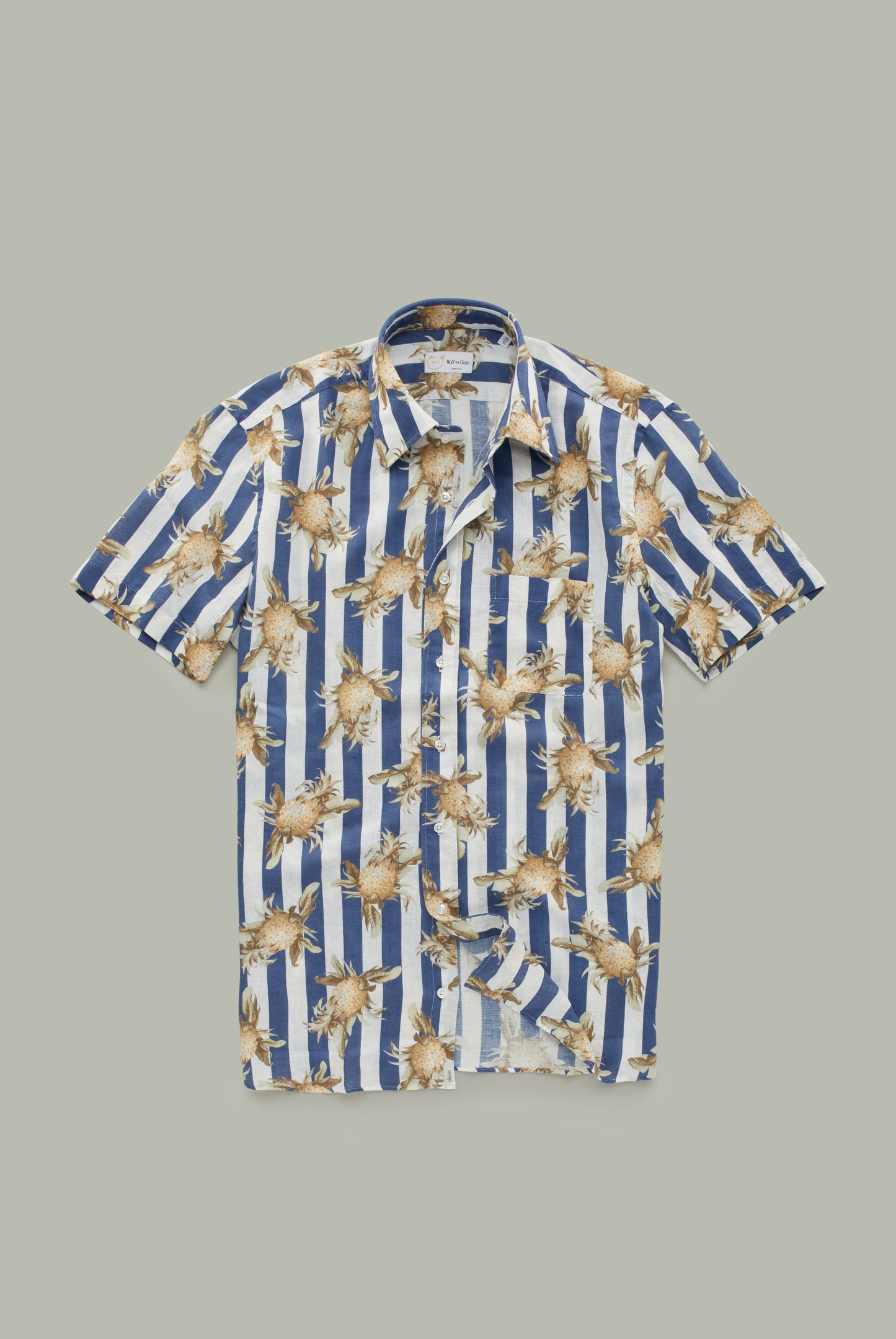 Striped Short Sleeve Regular with Pineapples